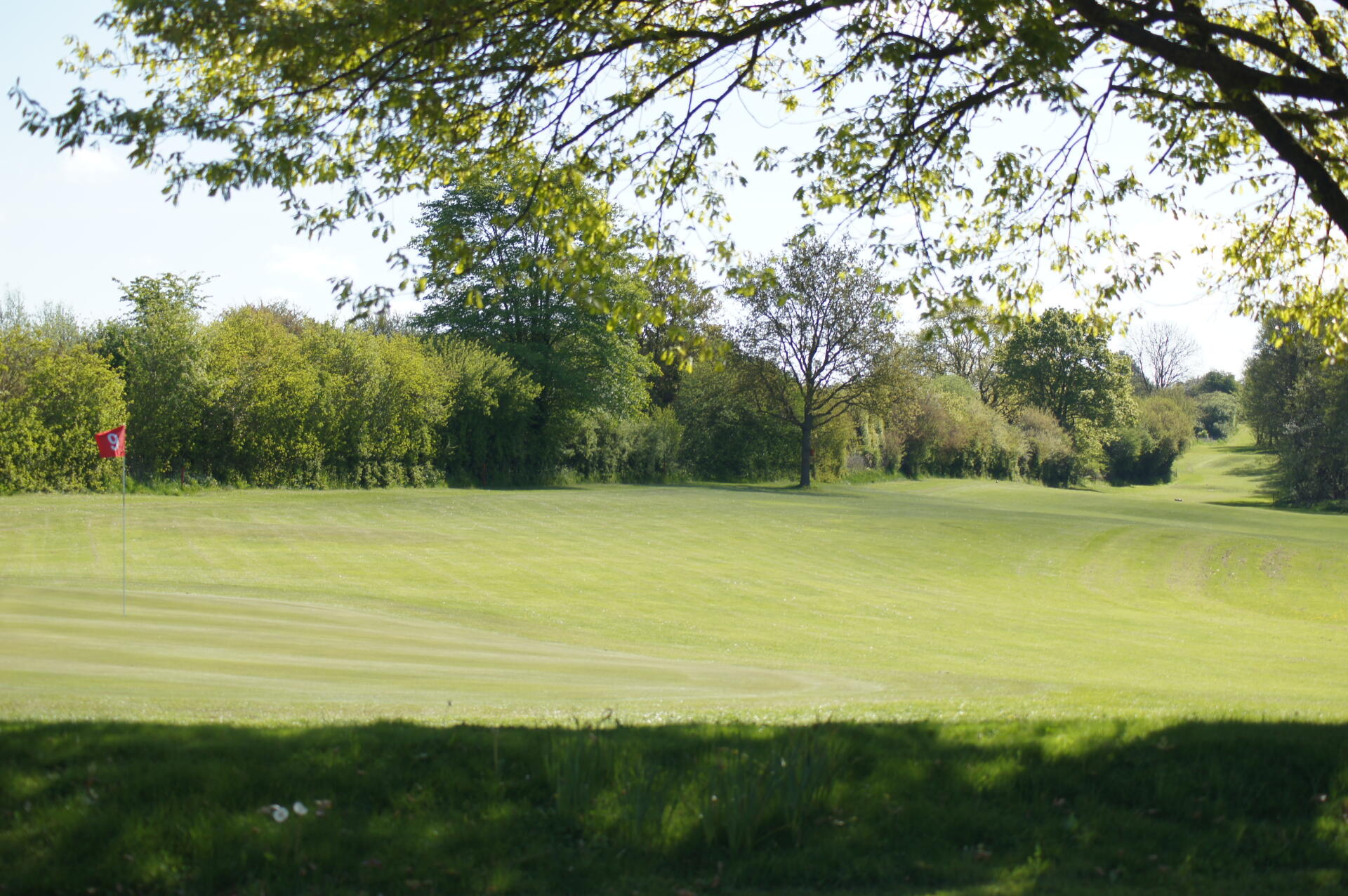 DSC06201